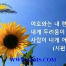 팡이메디칼