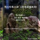 옥빛중 이미지