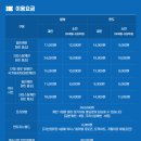 도토리캐빈 | 여수 애견 동반 여행 가볼만한곳 여수 해상케이블카 밤 바다