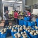 김종농장 이미지