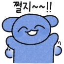 러블리독스 이미지