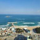 NEW 파크 공인중개사사무소 이미지