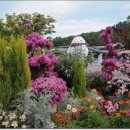 꿈에궁전 이미지