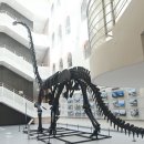부경대학교박물관 노컷뉴스