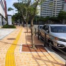 가로수약국 이미지