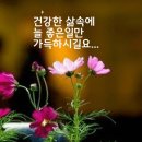 울산여행ㅡ 일산 해수욕장 에서 먹은ㅡ 연탄불 조개 구이ㅡ 사람이 어찌많은지ㅡ 줄서서 기다리는 맛집 ㅡ 코로나 는 얼씬도 못하네ㅡ 이미지