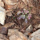 관계(關係)의공존( 이미지