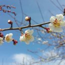 학마을농장 이미지