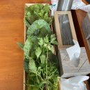 오미돌솥쌈밥 이미지