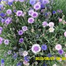 선산대로10-10 이미지