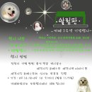 리즈퍼피 이미지