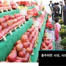 충주체육관 앞 이미지