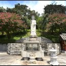 꽃피는 풍경 이미지