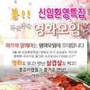 ♥ 영화모임 + 신입환영 삼겹살 벙개 ♥ ^_^ 5월 10일 (토) 6시30분 ★ 표적 & 스파이더맨 ★ 액션스릴러&액션블록버스터 영화 - 술한잔 뒷풀이 8시20분 부터~ 이미지