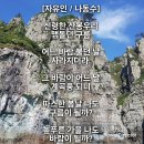 자유인