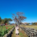 금복목장 이미지