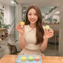 [남부] 홈베이킹 | 마카롱 덕후 주목! SNS 핫한 전국 성지 BEST 추천