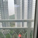 닥터리베라 이미지