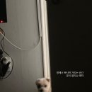 홍이옷수선