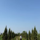 곡성-192 이미지