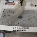 회봉송촌로 이미지