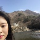 왕성초등학교 이미지