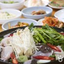 울산해양박물관세계희귀산호패류전시관 티스토리