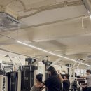 리라핏 거모점 이미지