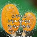 웃으면 돼지 이미지