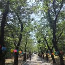 삼배통