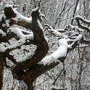 눈이야기 이미지