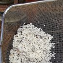 근성농장 이미지