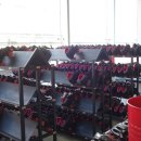 킹 게임랜드 이미지