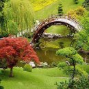 춘화현상(春化現象) 이미지