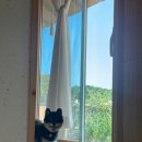 산과들민박 이미지