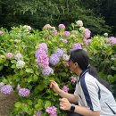 영도의원 | 장염과 함께하는 2박3일 부산여행 (태종대, 해동용궁사, 흰여울문화마을)