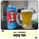 세븐일레븐 부산백양점 | [농심 × 허심청 브로이] 배홍동 맥주 후기