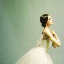 체형교정 성인발레 이미지