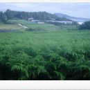 서당농장 이미지