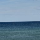 동부-9 | 9월 호주 여행 후기 1탄 🌊 시드니 동부해안트래킹부터 오페라하우스까지