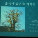 숲이야기 이미지