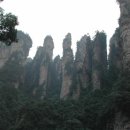 중국 명산트레킹 원가계+장가계, 천자봉+천문봉 환상의 비경사진 이미지