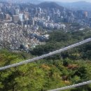 파란지 이미지