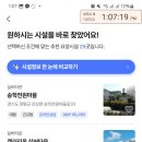 또하나의가족 | 또하나의가족 어플 요양시설 비교 후기!