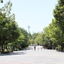 익산애견테마파크 티스토리