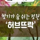 화순허브뜨락 이미지