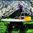 화심농장 이미지