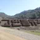 라라짐