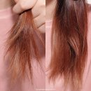 건조한 모발관리 위한 시어모이스처 마누카 허니 &amp; 마푸라 오일 트리트먼트, 컨디셔너, 샴푸추천