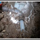 연동초등학교정문 이미지